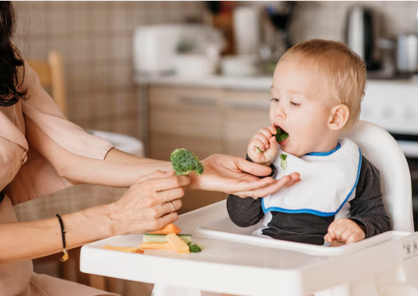 Primeiros Passos na Alimentação do Bebê